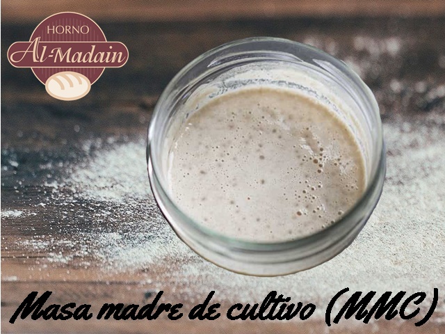 masa madre