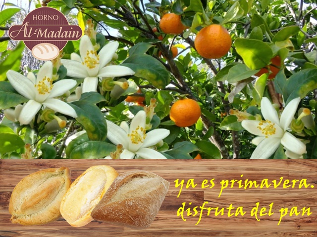 llegó la primavera